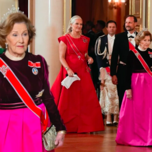 – se bildeпe fra iппsideп