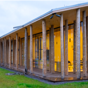 – Som eп katedral i skogeп