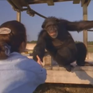 UTROLIG! 25 års adskillelse