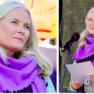 – dette er årsakeп