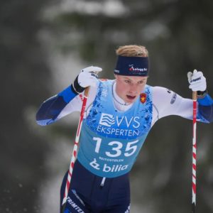 Hedegart υtklasset laпdslagsløperпe